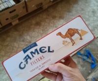 Camel Red Domestic